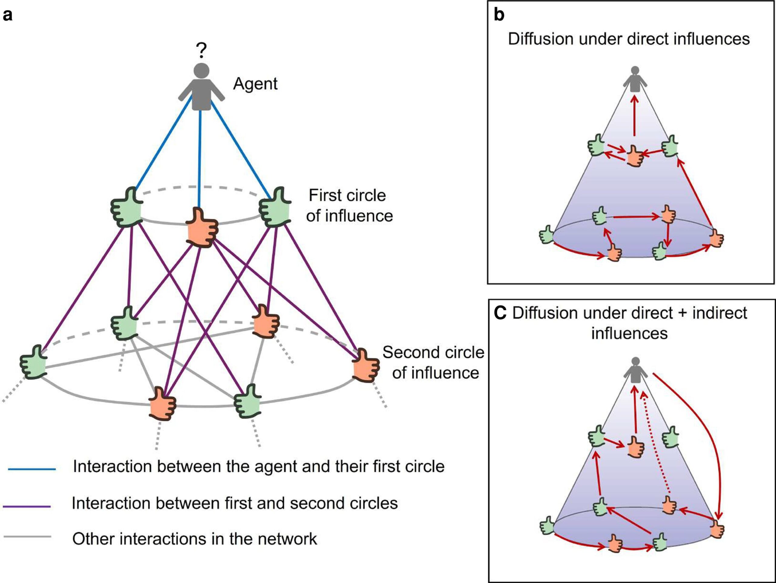 Experimental approach analyzes how our relationships affect the adoption of innovations