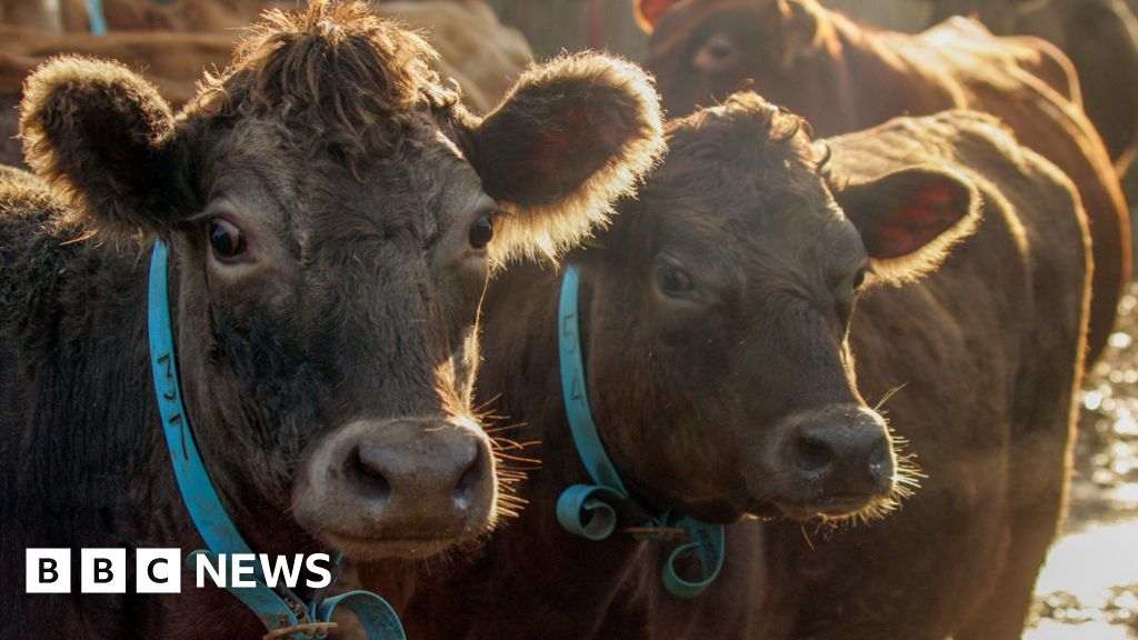 Green farming budget freeze ‘will hit nature and wildlife work’