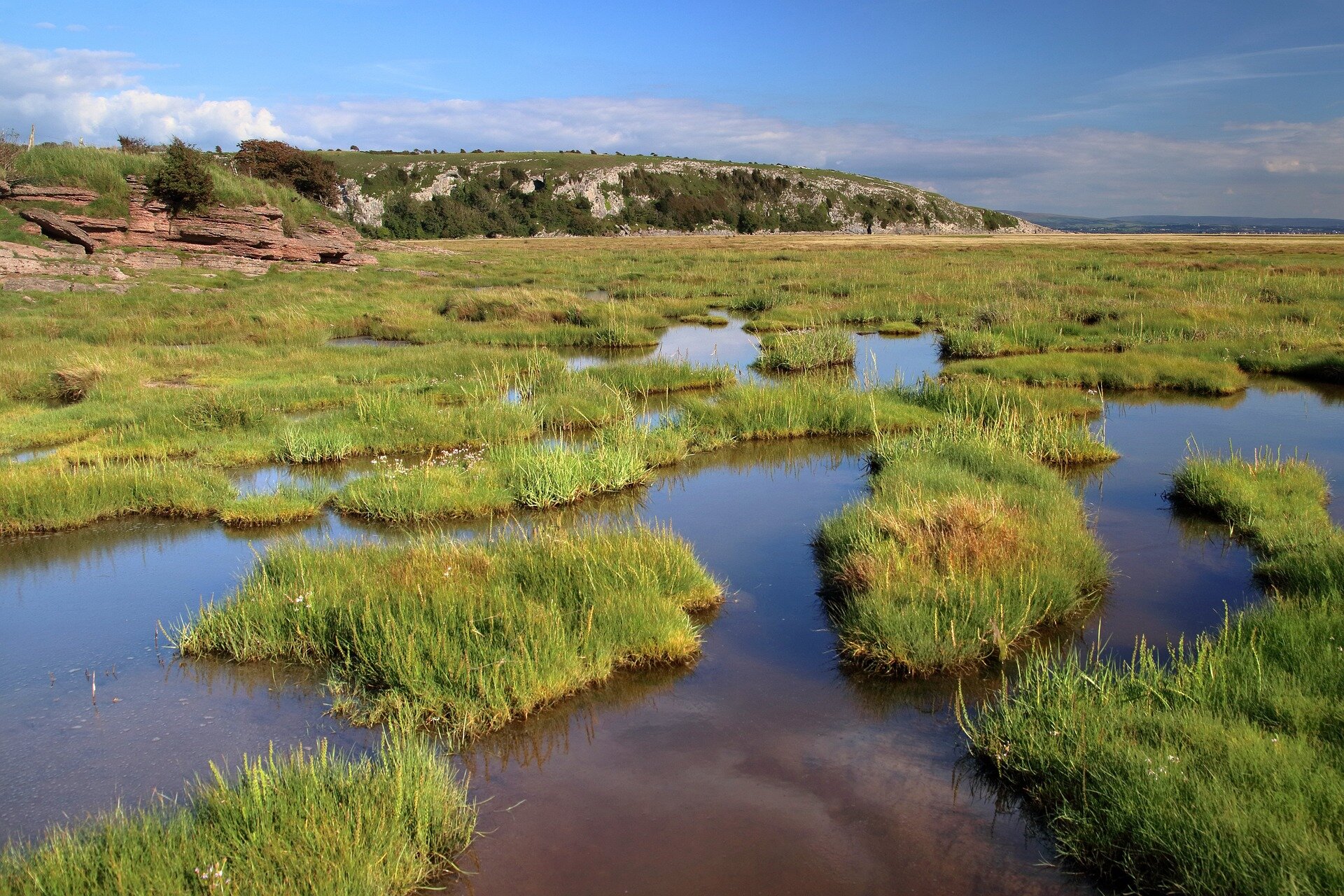 Modeling study shows that marshes provide cost-effective coastal protection