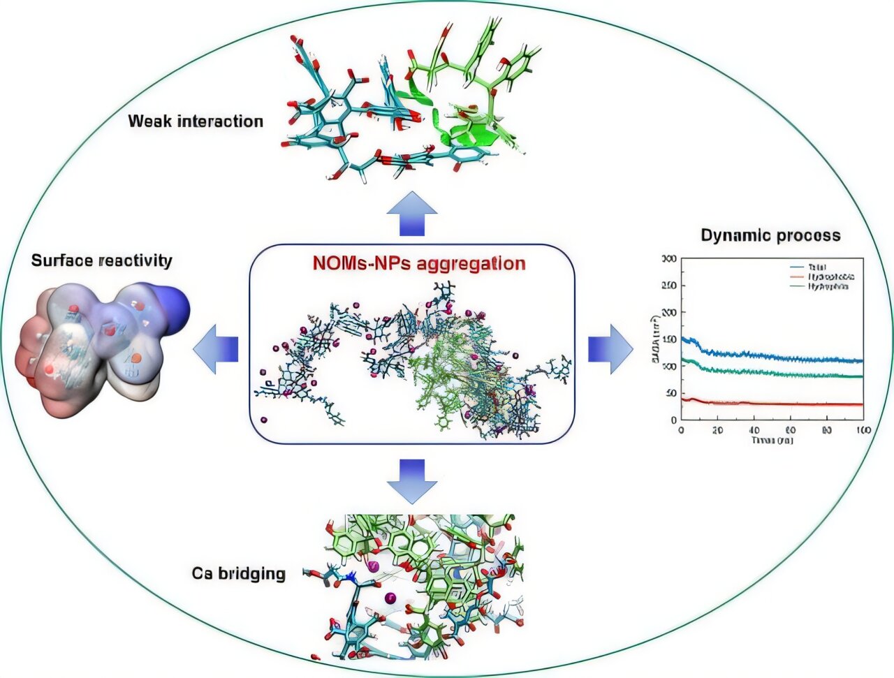 Molecular insights into the dynamic dance of nanoplastics and natural organic matter