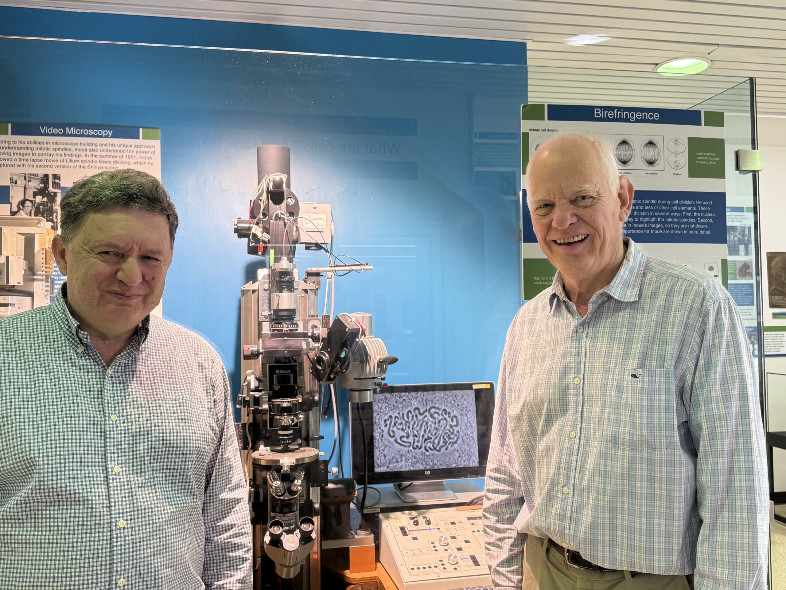 New method measure the forces that keep the nuclei of living cells centered