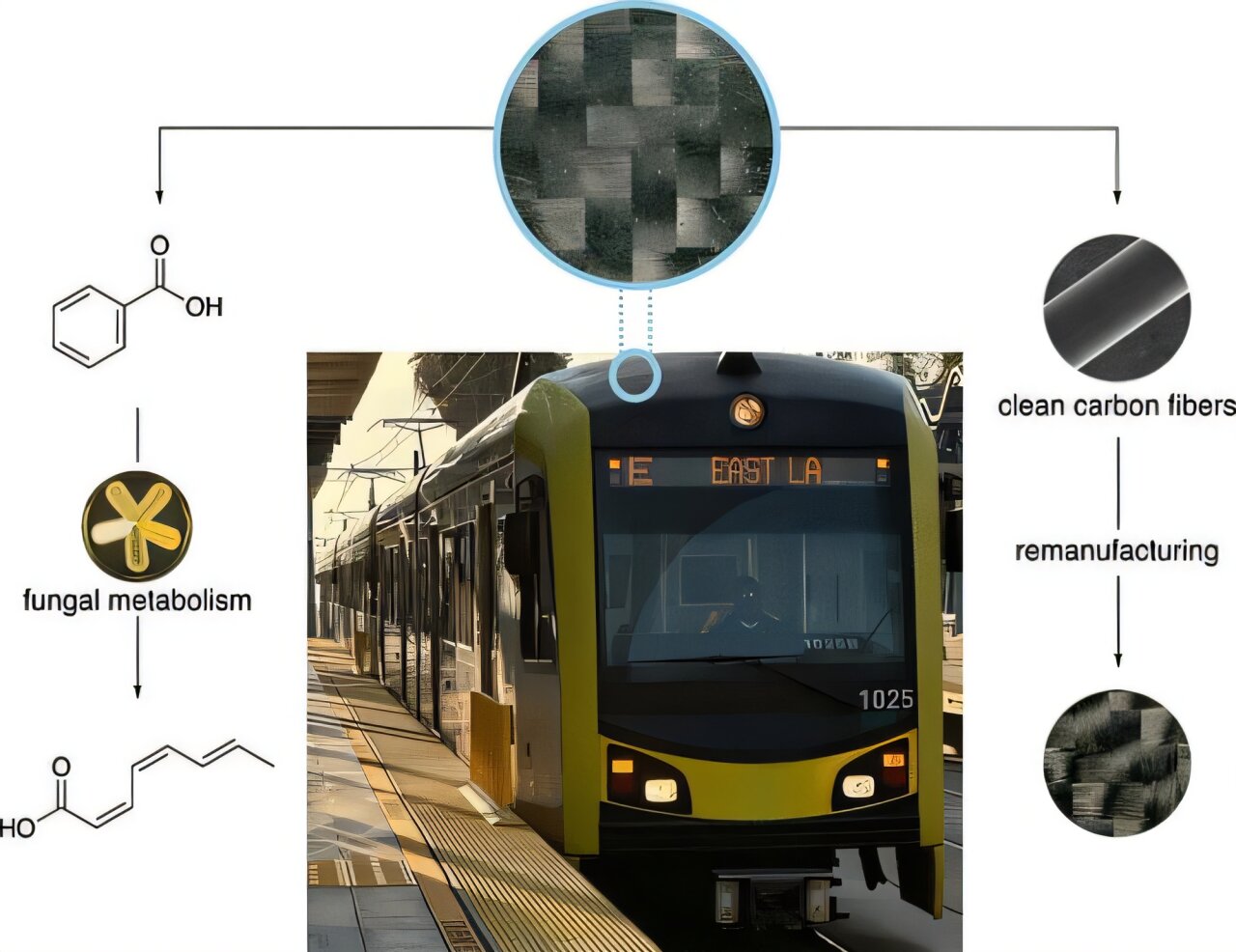 New method successfully recycles carbon fiber composite into reusable materials