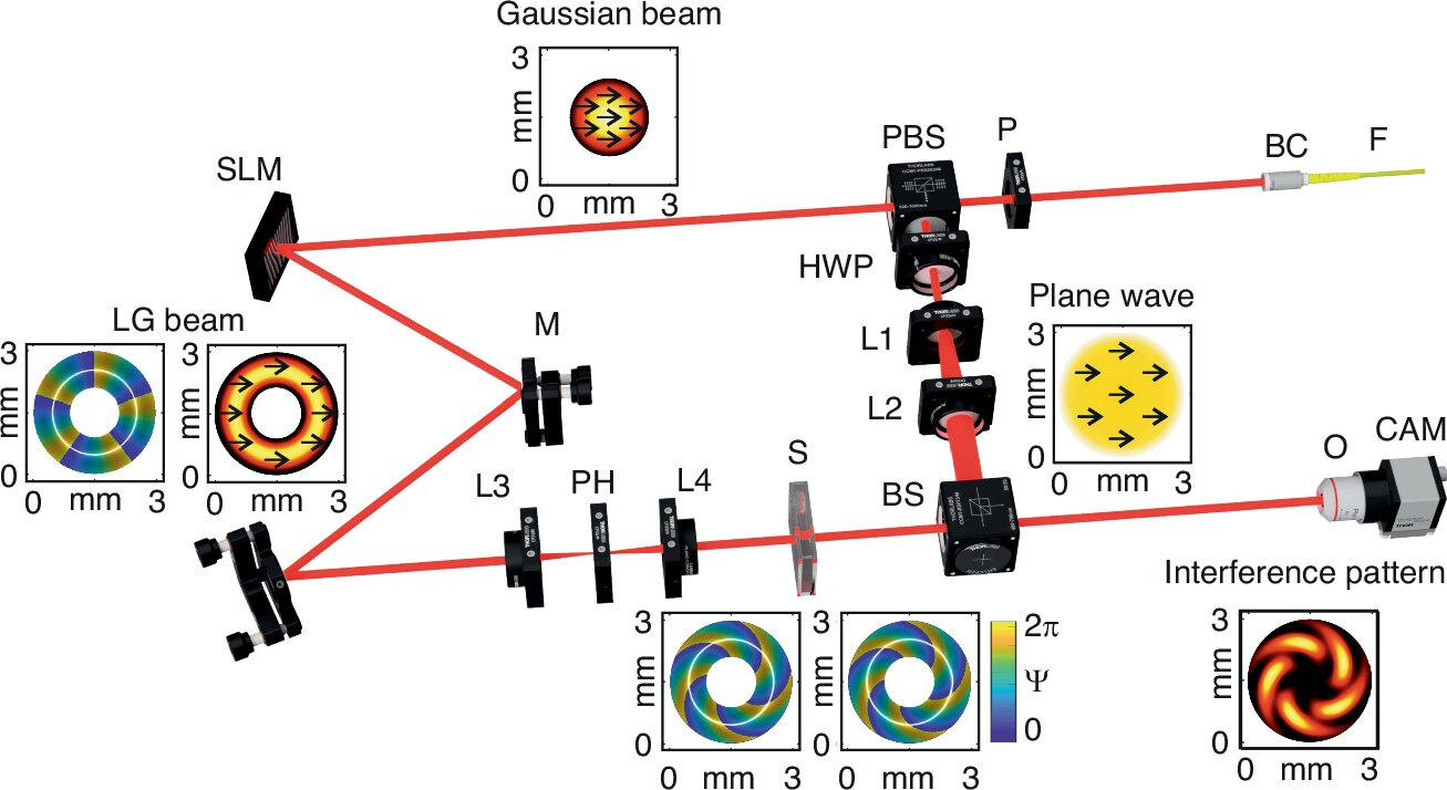 Optical technique that uses orbital angular momentum could transform medical diagnostics