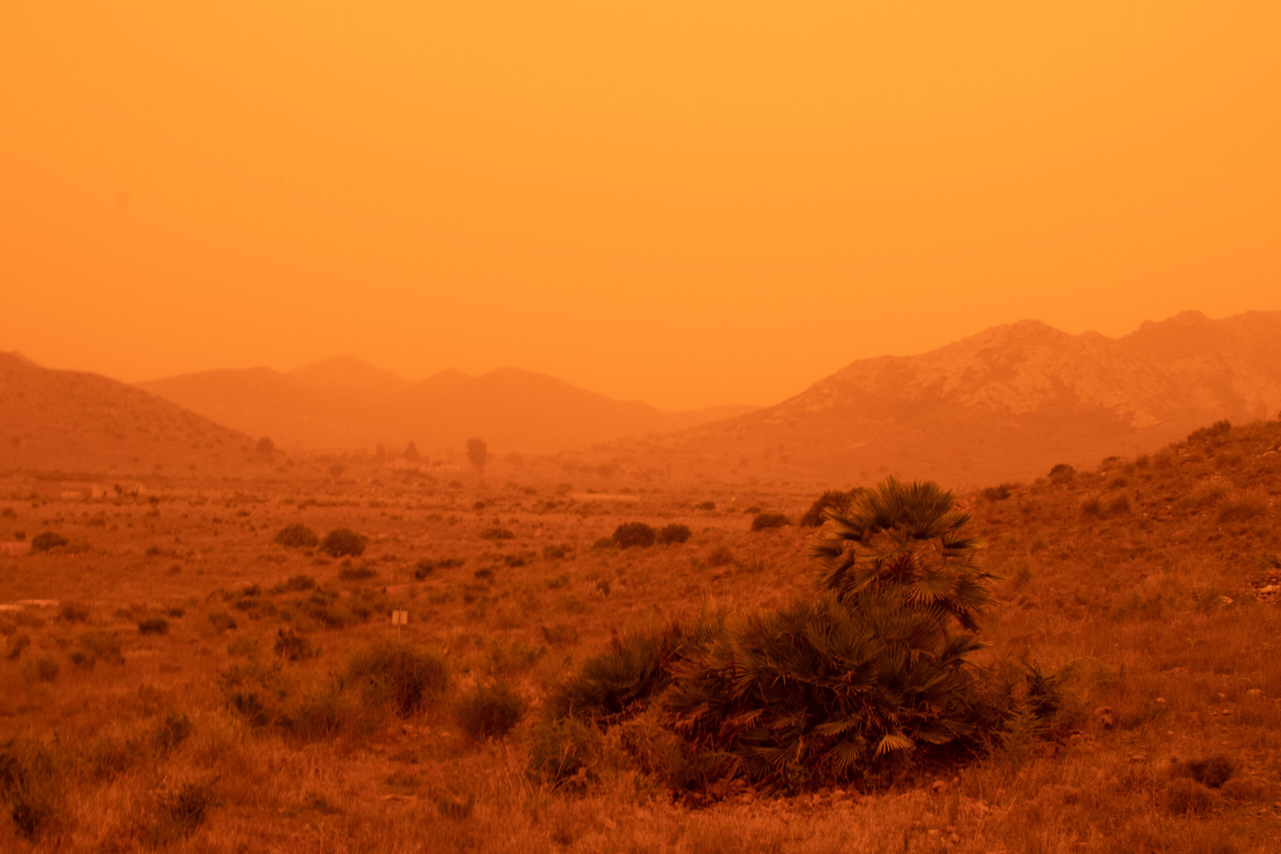 Record-breaking Saharan dust events hit Spain between 2020 and 2022, study confirms