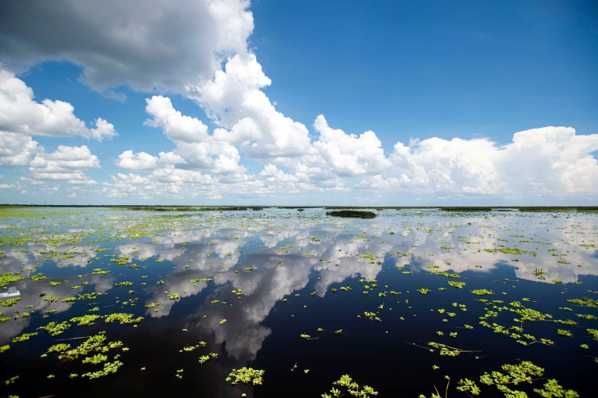 அதன் பாதை Okeechobee ஏரிக்கு வடக்கே செல்லலாம். அது ஏன் முக்கியம்