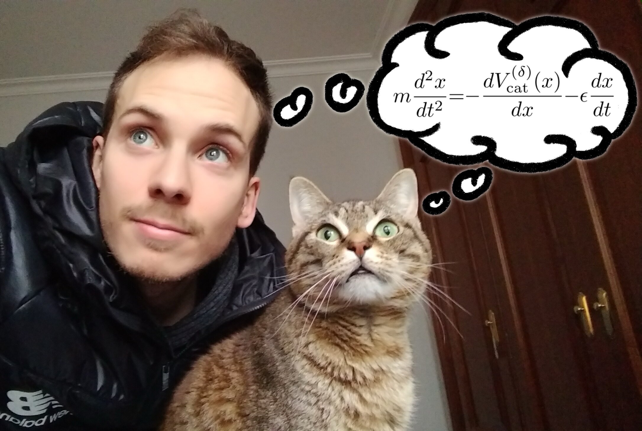 A physicist and his cat ‘reveal’ the equation of cat motion