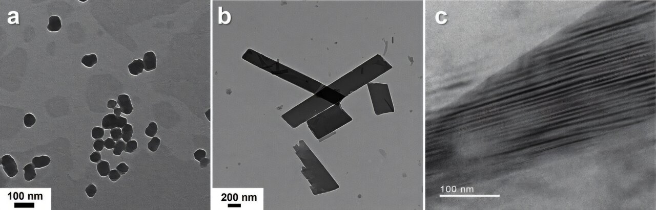 Chiral molecular self-assemblies that absorb light boost singlet fission process, research demonstrates