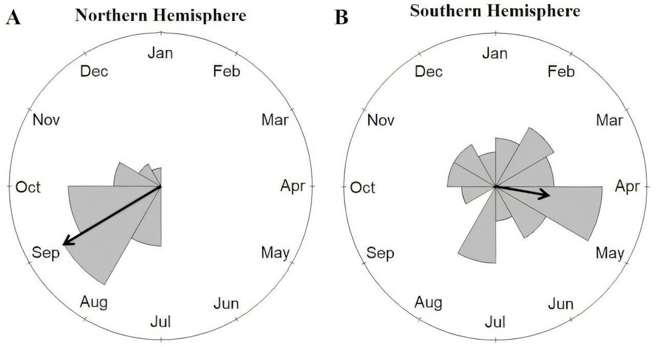 Collisions between planes and birds follow seasonal patterns and overlap with breeding and migration—new research