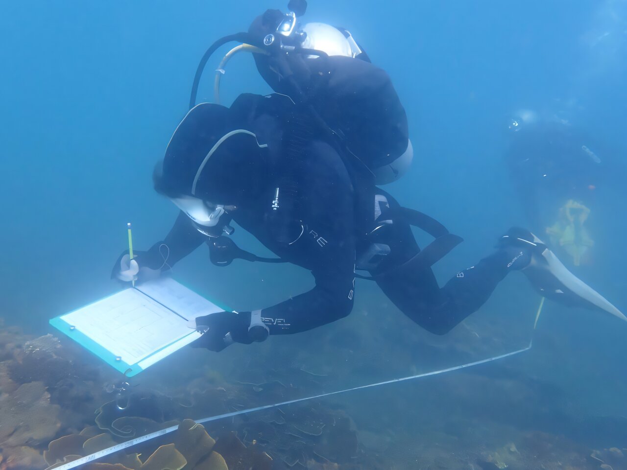 Coral reef fish running out of time to recover at Great Barrier Reef islands, research warns