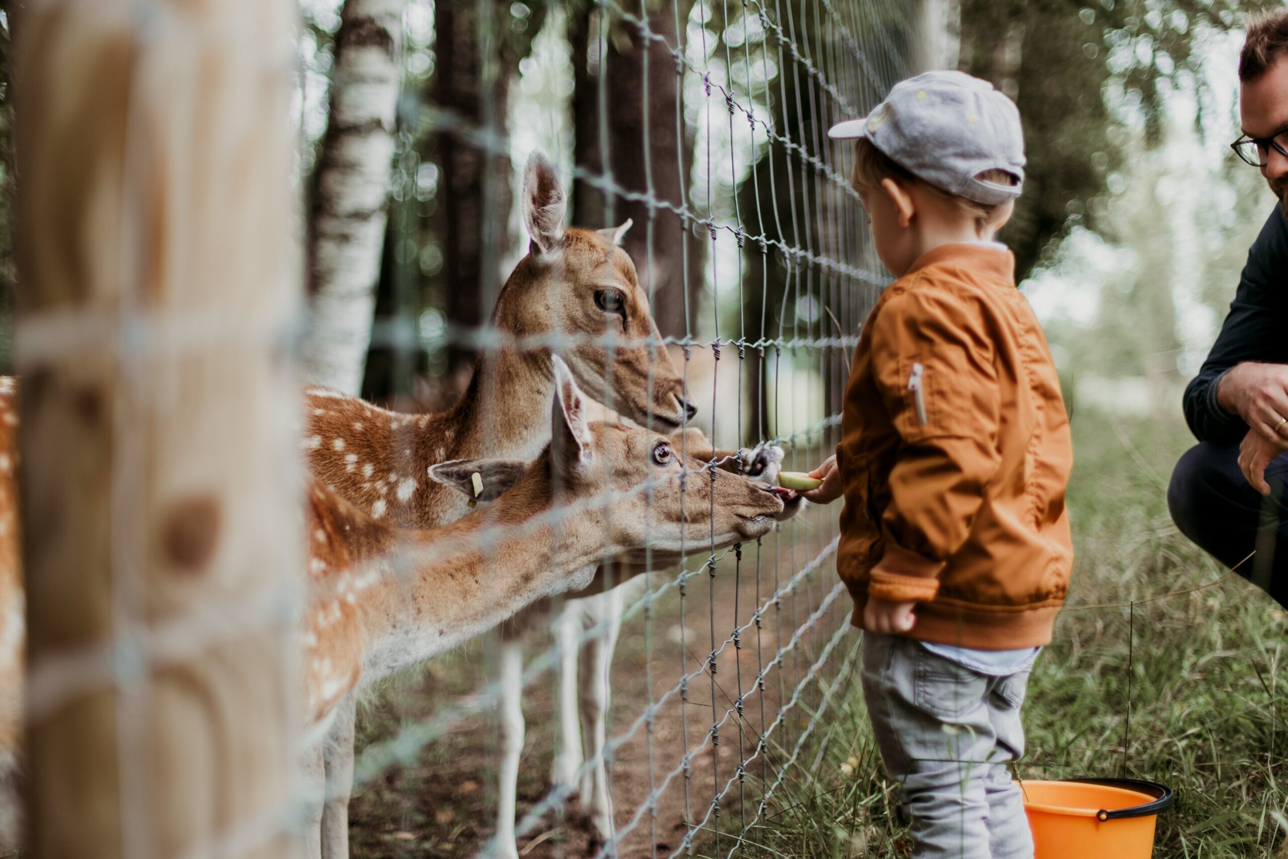 Encouraging quiet during zoo visits might lead to a better appreciation of the animals, say researchers