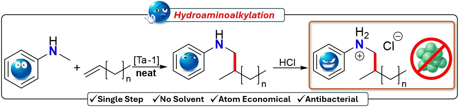 From functionalization to antibacterial properties for sustainable applications