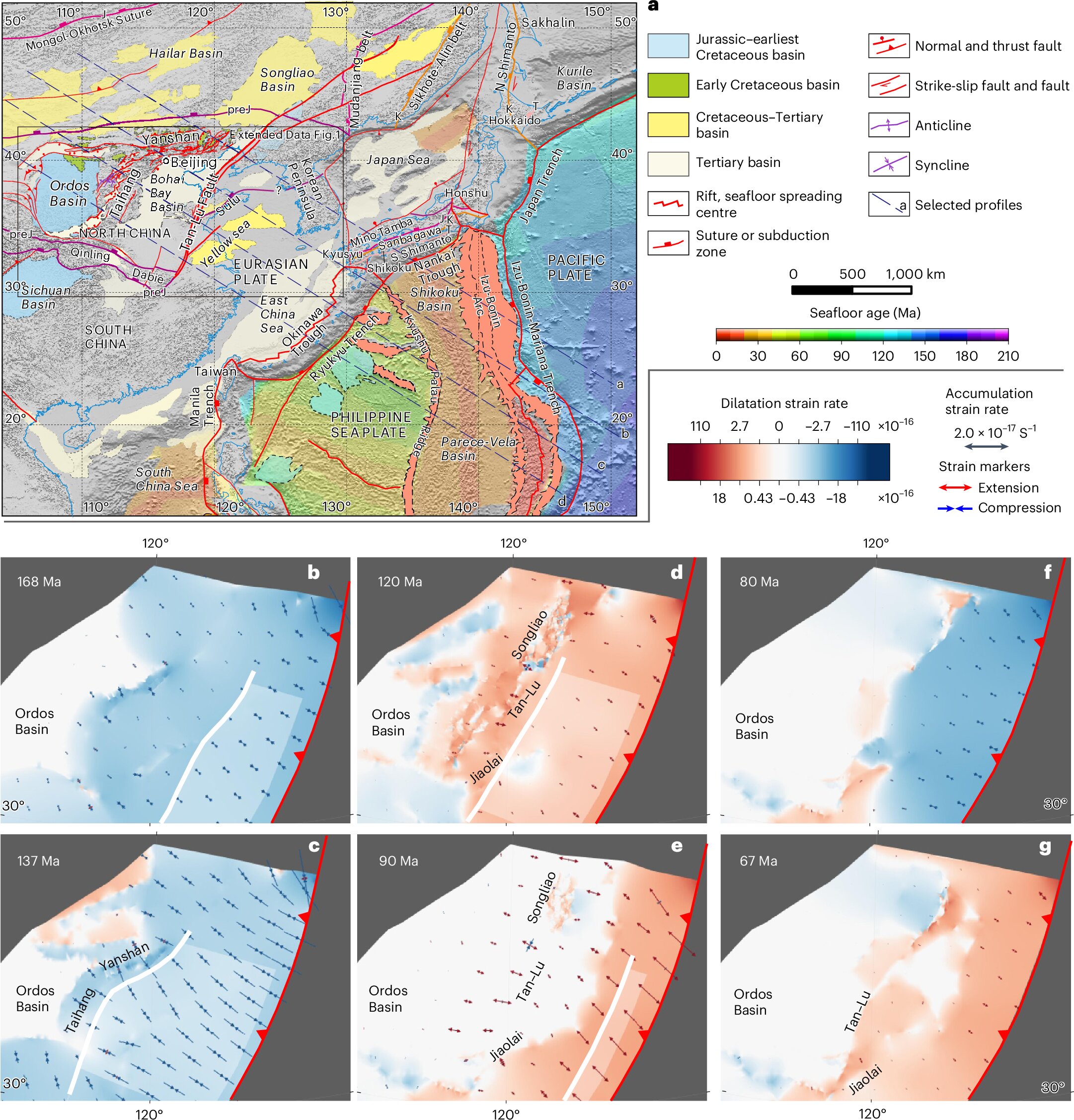 Geodynamic mantle-flow model explains deformation of continental crust block in North China