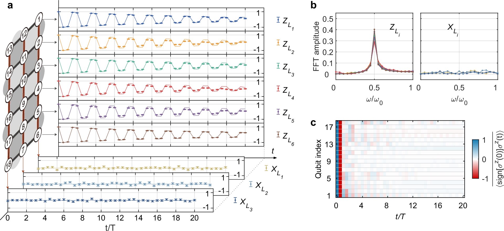 Implementing topologically ordered time crystals on quantum processors