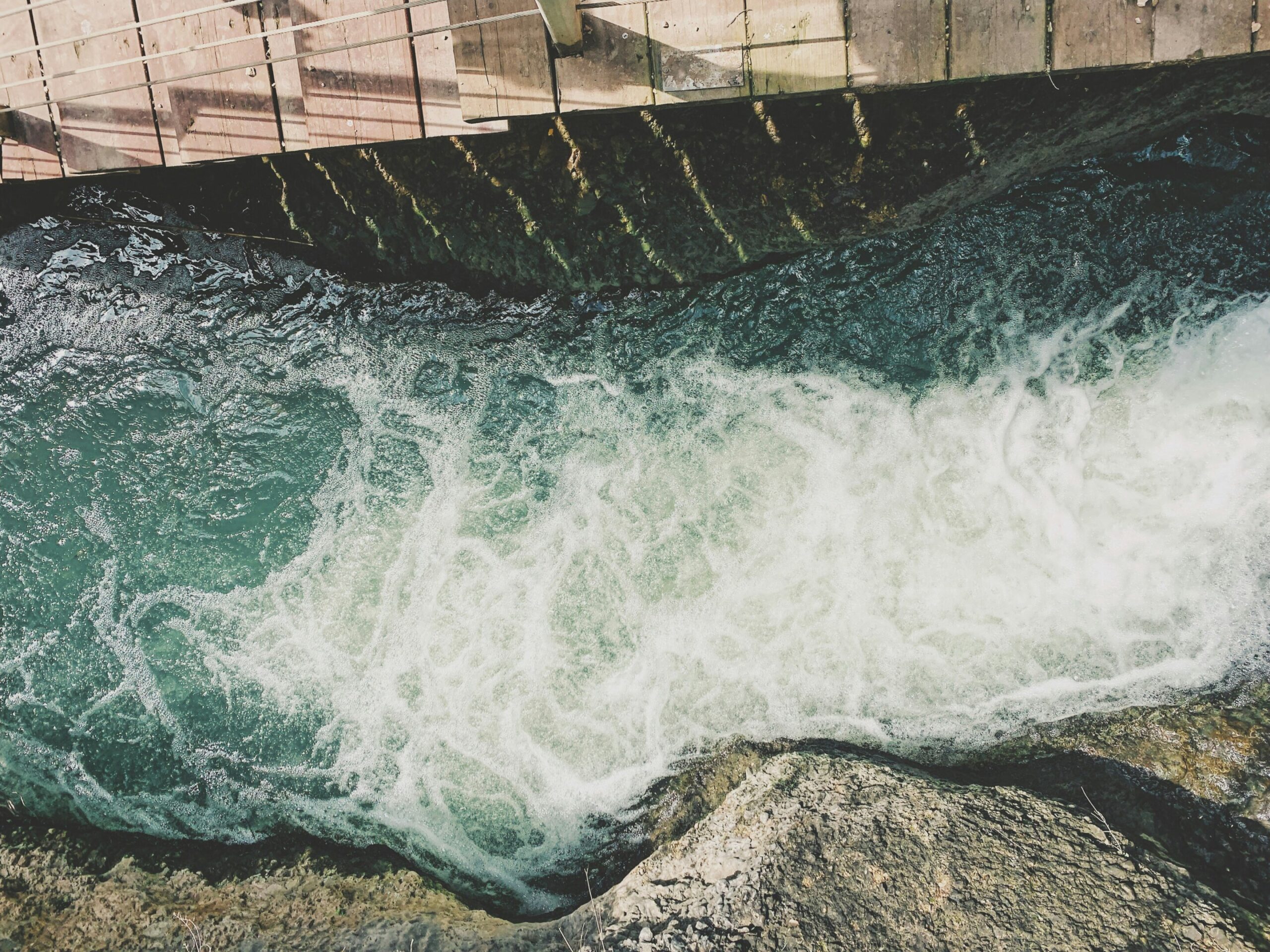 Incorporating cultural and recreational ecosystem services of freshwater within Israel’s water economy