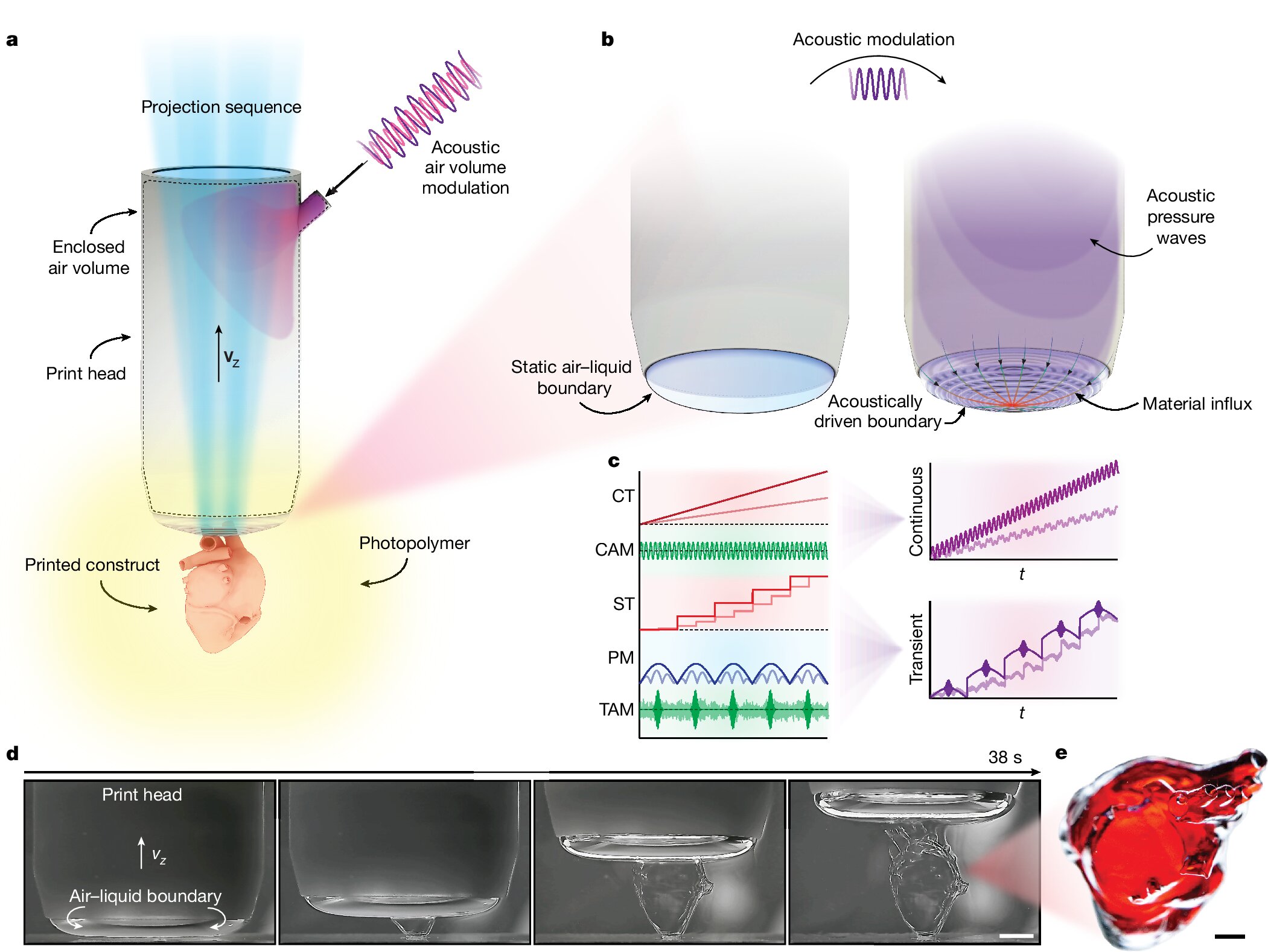 New digital light manufacturing approach resolves common problems associated with 3D printing