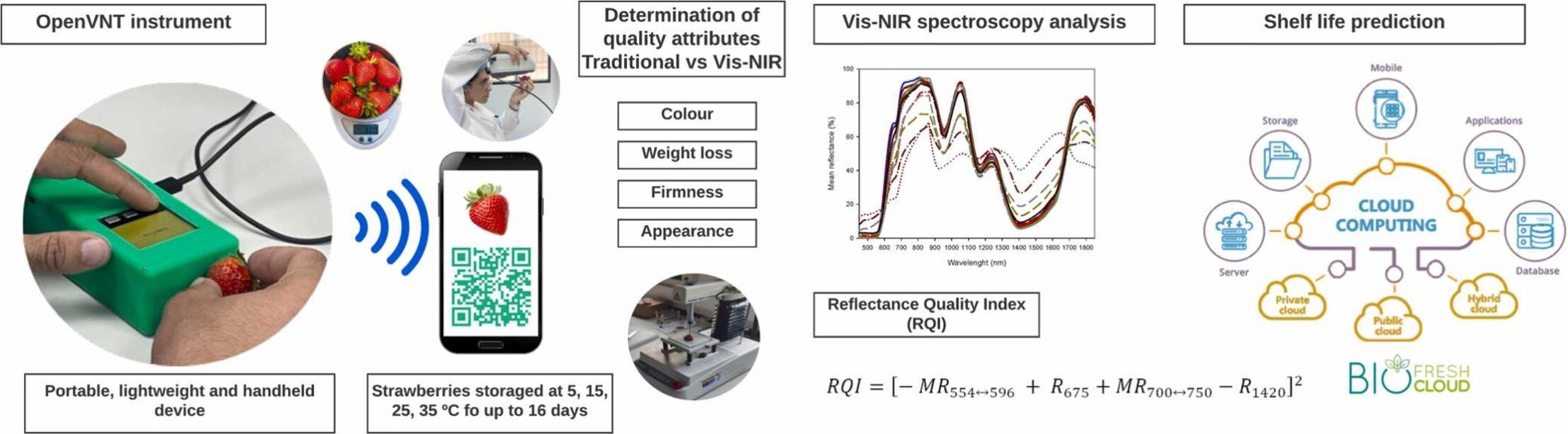 Portable spectrophotometer approach predicts shelf life of strawberries in real time