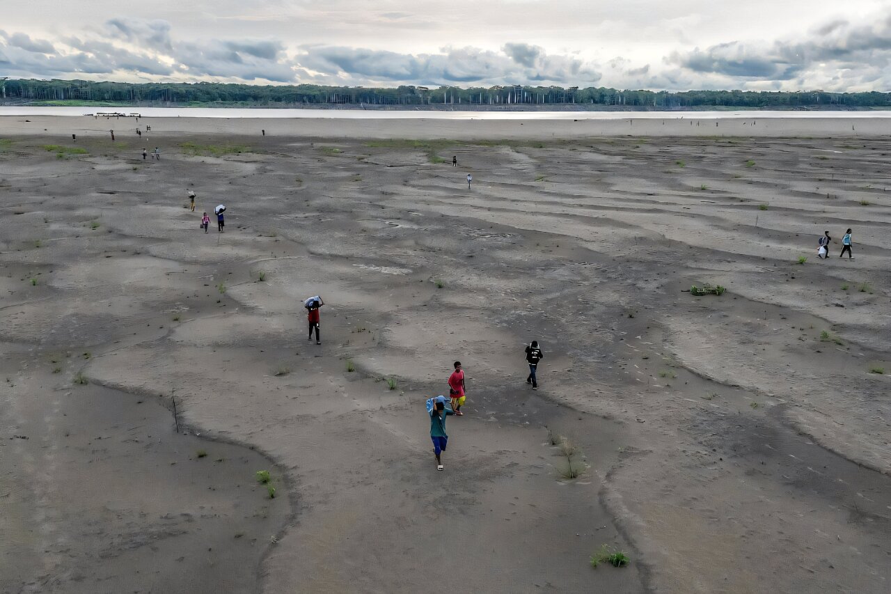 Record drought in Amazon impacts 420,000 children: UNICEF