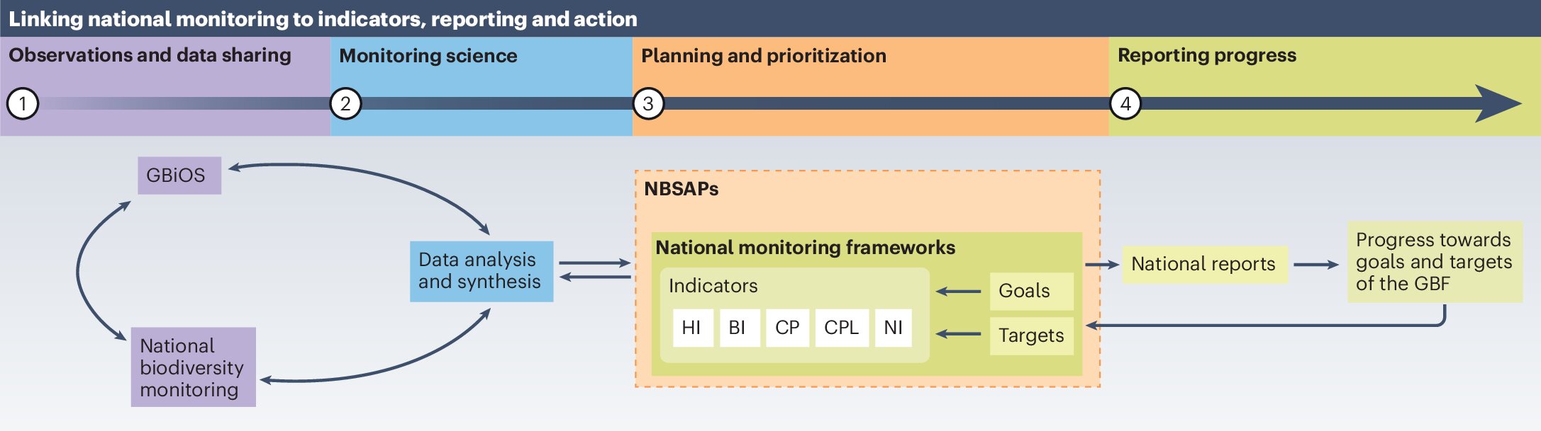 Researchers outline strengths and challenges in new monitoring framework