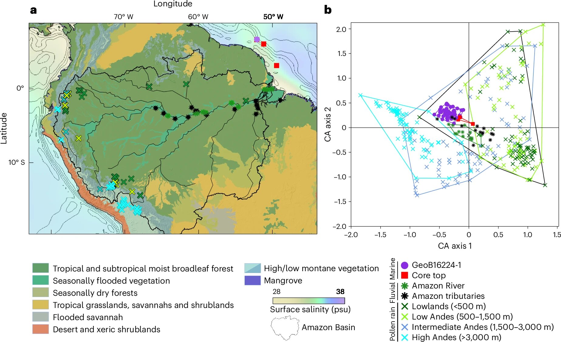 Study examines effects of Atlantic circulation on the Amazon rainforest