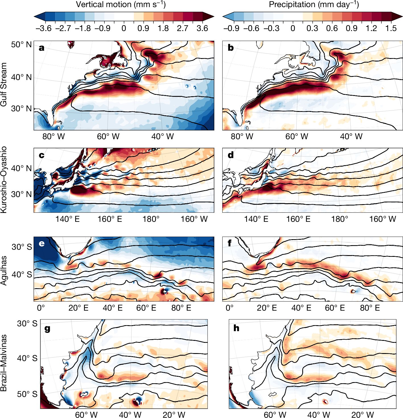 Study suggests western boundary currents have bigger impact on local climate variability than previously thought